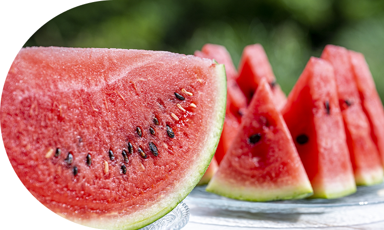 昼と夜の寒暖差が甘みを高める