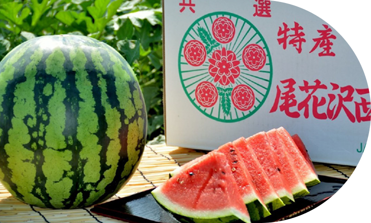 厳しいブランド選果基準<br>しっかりと甘みを感じるスイカを、<br>安心安全に