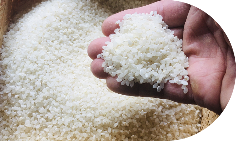 美味しさのヒケツは<br>タンパク質にあり！<br>厳選つや姫