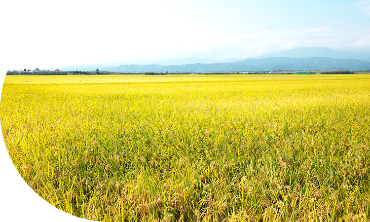 人と自然にやさしい<br>米づくりで食味向上を目指し、<br>安全・安心な米栽培