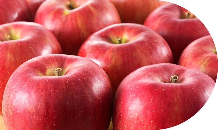 最新の選果施設で品質チェック！<br>６等級、８階級を識別！