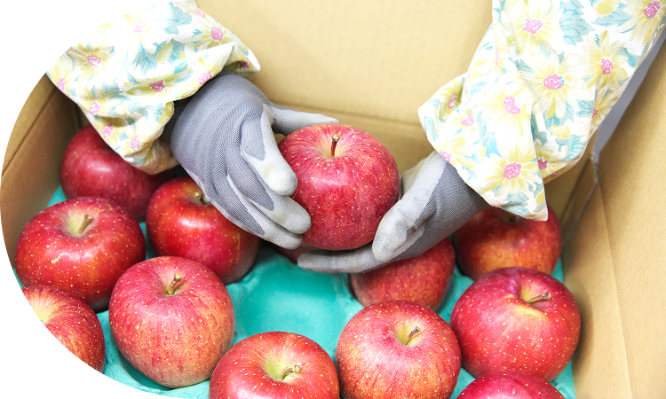 徹底調査！品評会で技術を競う