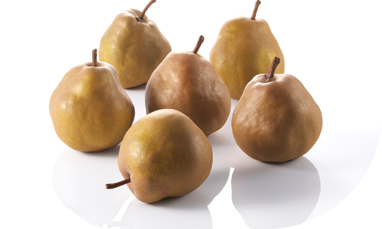 美味しさを届けたい!産地追熟の発祥・大江町