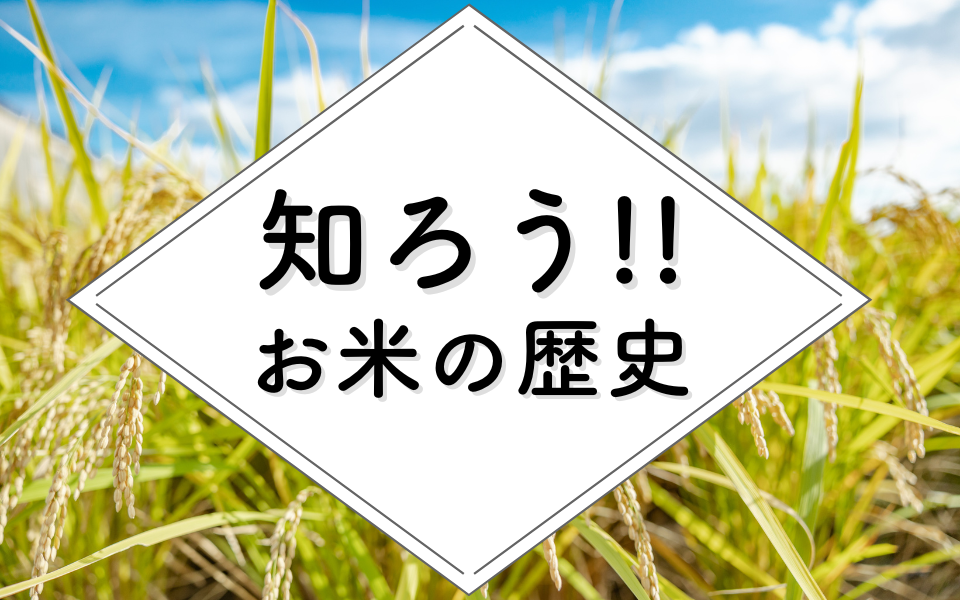 なぜトランスジェンダーの人たちは差別されるのでしょうか?