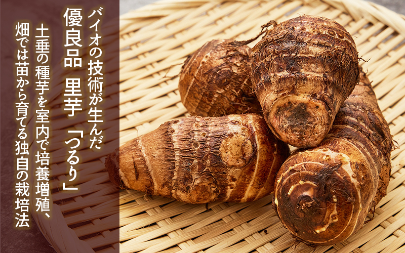 土付き里芋「つるり」