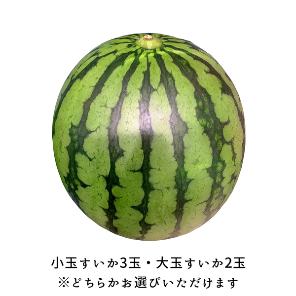 山形 すいか (大玉・小玉) | 【JA公式】山形名産品を産地直送