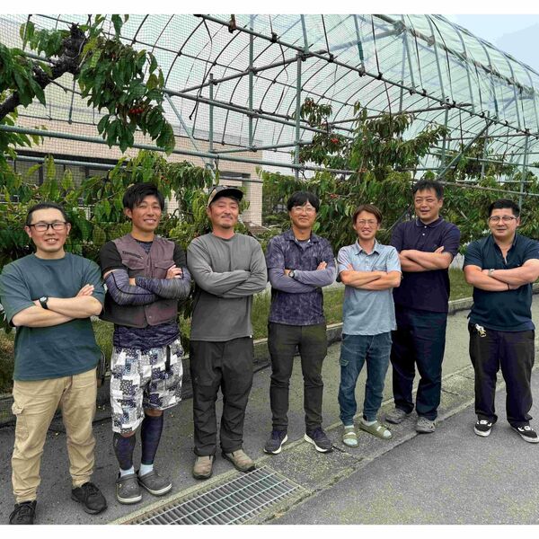 若手農家の旬彩セレクション】佐藤錦・紅秀峰 高級バラパック（秀品