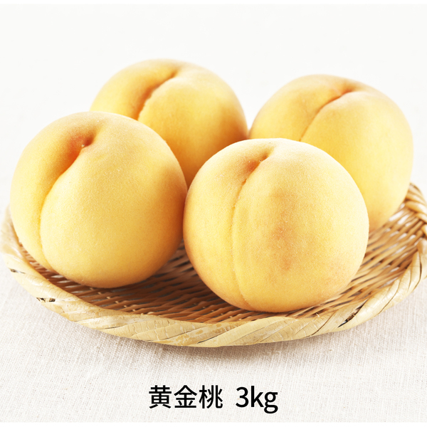 秀品】 黄金桃 (黄桃) | 【JA公式】山形名産品を産地直送｜JAさがえ