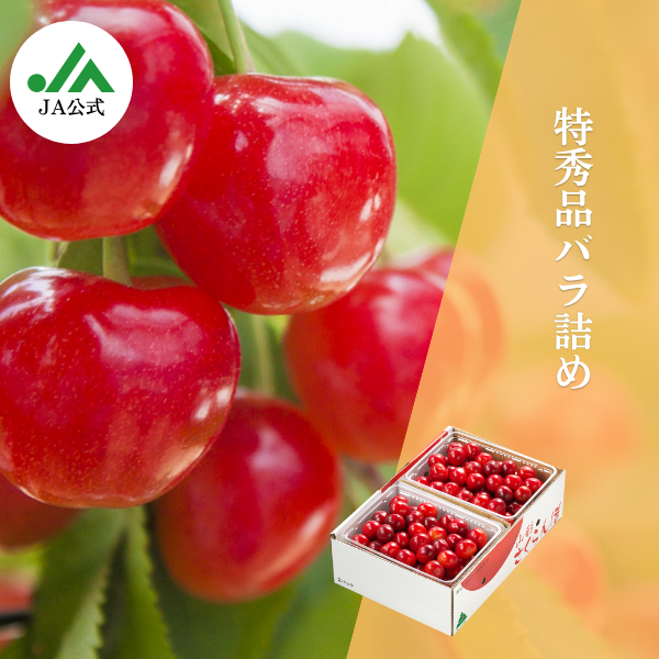 じゅじゅ様★追加分+送料差額 バーベルプレート バラ売り可 アイリスオーヤマ段差プレート 6枚＋コーナー2枚セット