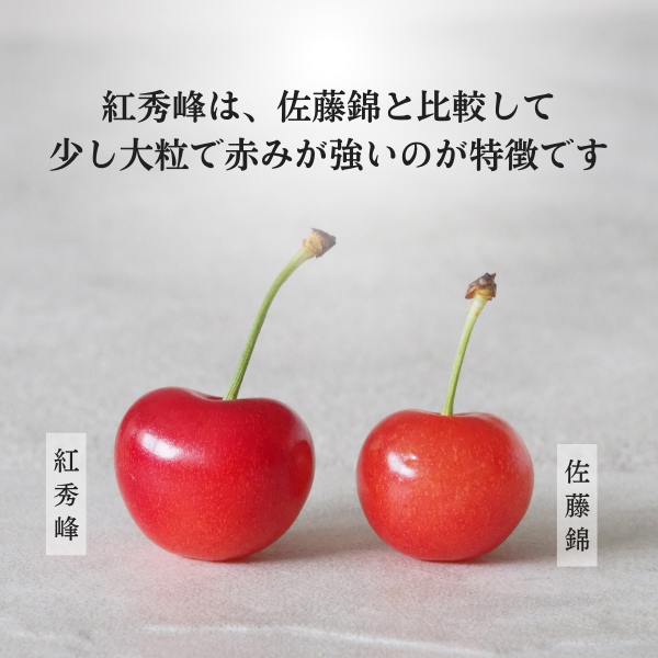 限定！早割価格】 紅秀峰 | 【JA公式】山形名産品を産地直送｜JAさがえ