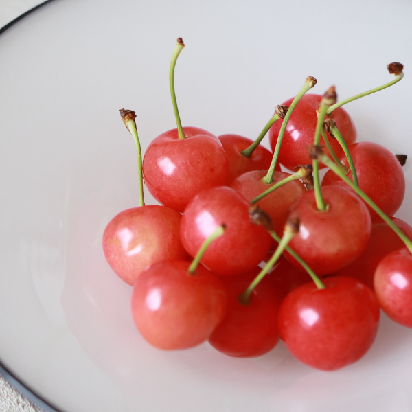 ハウス きららパック 佐藤錦 | 【JA公式】山形名産品を産地直送｜JAさ