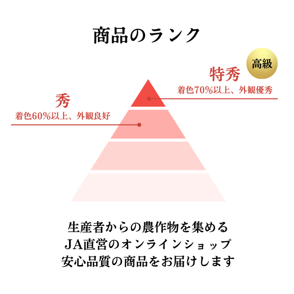 特秀品・秀品】佐藤錦さくらんぼ（高級バラ詰め・手詰め） | 【JA公式