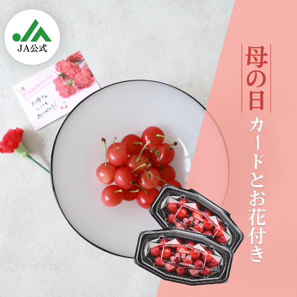 母の日ギフト】ハウス きららパック 佐藤錦 | 【JA公式】山形名産品を