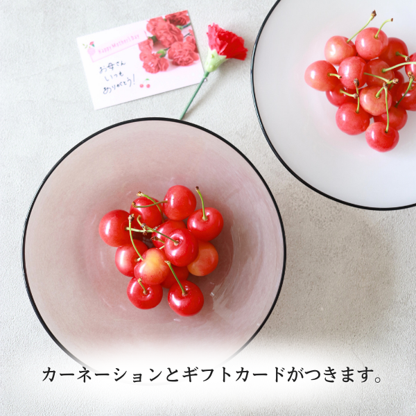 母の日ギフト】ハウス きららパック 佐藤錦 | 【JA公式】山形名産品を