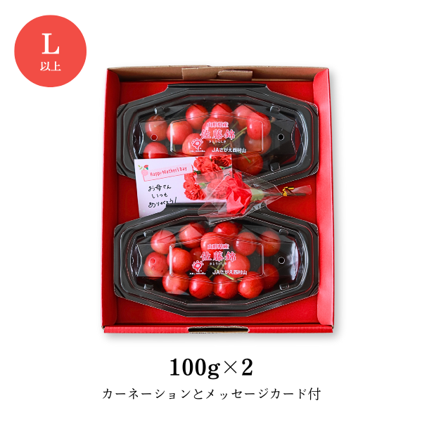 母の日ギフト】ハウス きららパック 佐藤錦 | 【JA公式】山形名産品を