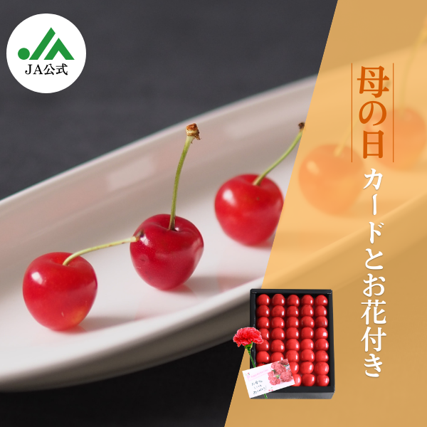 かおりん　紅秀峰家庭用二箱　東京 紅秀峰 家庭用 送料無料1kg バラ詰