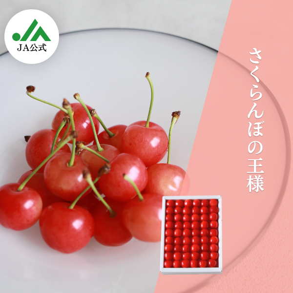 ハウス佐藤錦 | 【JA公式】山形名産品を産地直送｜JAさがえ西村