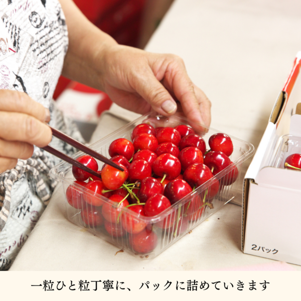 特秀品・秀品】佐藤錦さくらんぼ（高級バラ詰め・手詰め