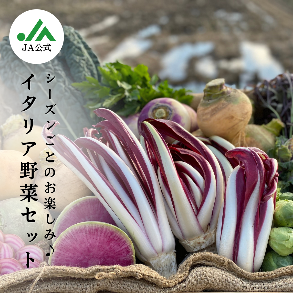 イタリア野菜セット | 【JA公式】山形名産品を産地直送｜JAさがえ西村