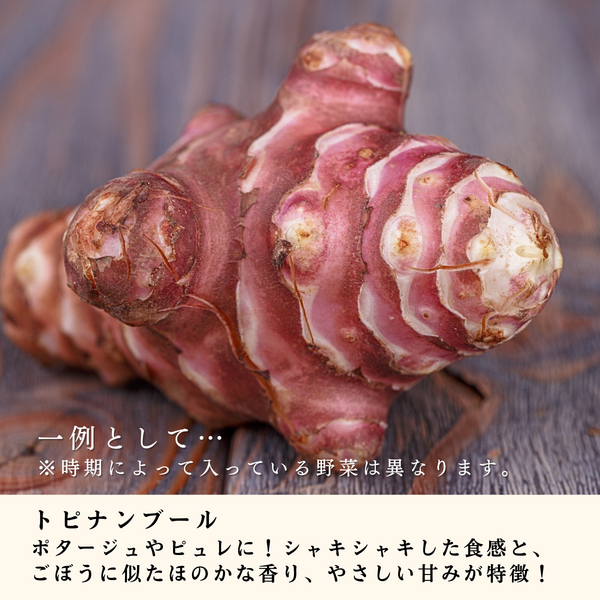 イタリア野菜セット | 【JA公式】山形名産品を産地直送｜JAさがえ西村