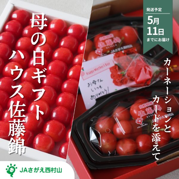 【母の日ギフト】ハウス きららパック 佐藤錦