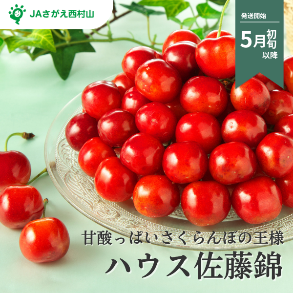 ハウス佐藤錦【山形県の中央・さがえ西村山地区から直送】