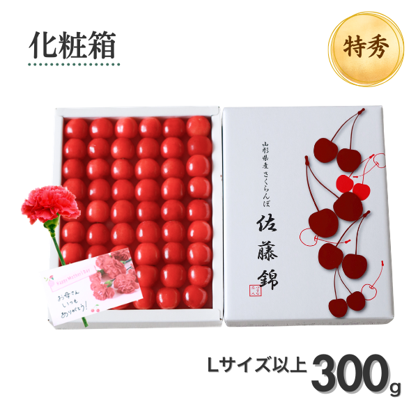 母の日ギフト】ハウス 佐藤錦 さくらんぼ | 【JA公式】山形名産品を