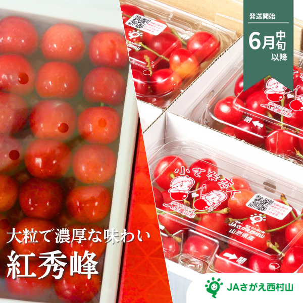 紅秀峰 さくらんぼ【山形県の中央・さがえ西村山地区から直送】
