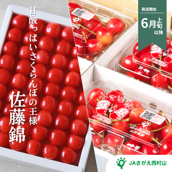 佐藤錦 さくらんぼ【山形県の中央・さがえ西村山地区から直送】