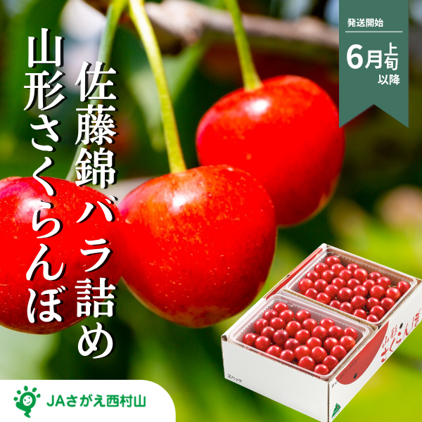 佐藤錦さくらんぼ バラ詰【山形県の中央・さがえ西村山地区から直送】