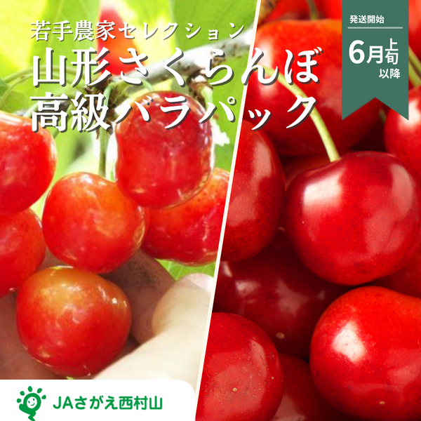 【若手農家の旬彩セレクション】さくらんぼ 高級バラパック