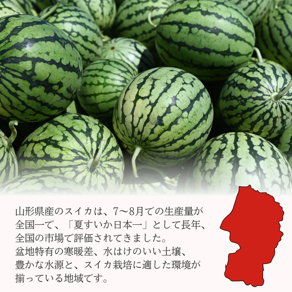 山形すいか (大玉・小玉) 〜夏すいか日本一から産地直送〜 | 【JA公式 山形すいか (大玉・小玉) 〜夏すいか日本一から産地直送〜 | 【JA公式