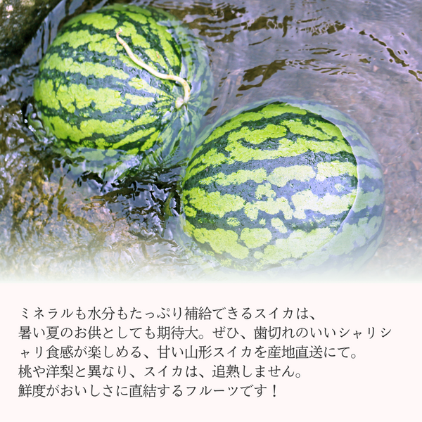 山形すいか (大玉・小玉) 〜夏すいか日本一から産地直送〜 | 【JA公式