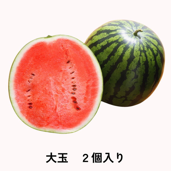山形すいか (大玉・小玉) 〜夏すいか日本一から産地直送〜 | 【JA公式