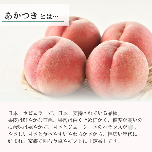 赤＆桃さん専用 秀品】あかつき桃 (白桃) | 【JA公式】山形名産品を産地直送｜JAさがえ