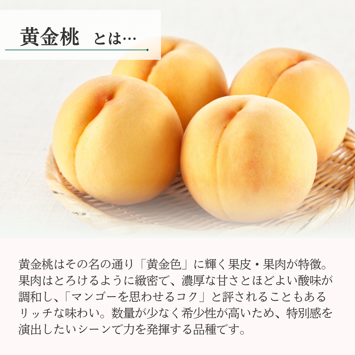 黄金桃 (黄桃・秀品)の商品画像 2