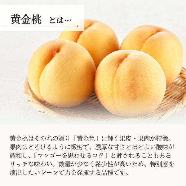 黄金桃 (黄桃・秀品) | 【JA公式】山形名産品を産地直送｜JAさがえ西村
