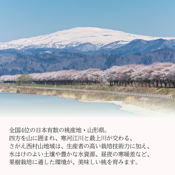 黄金桃 (黄桃・秀品)の商品画像 8