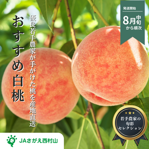 【若手農家の旬彩セレクション】山形の旬の桃（白桃）