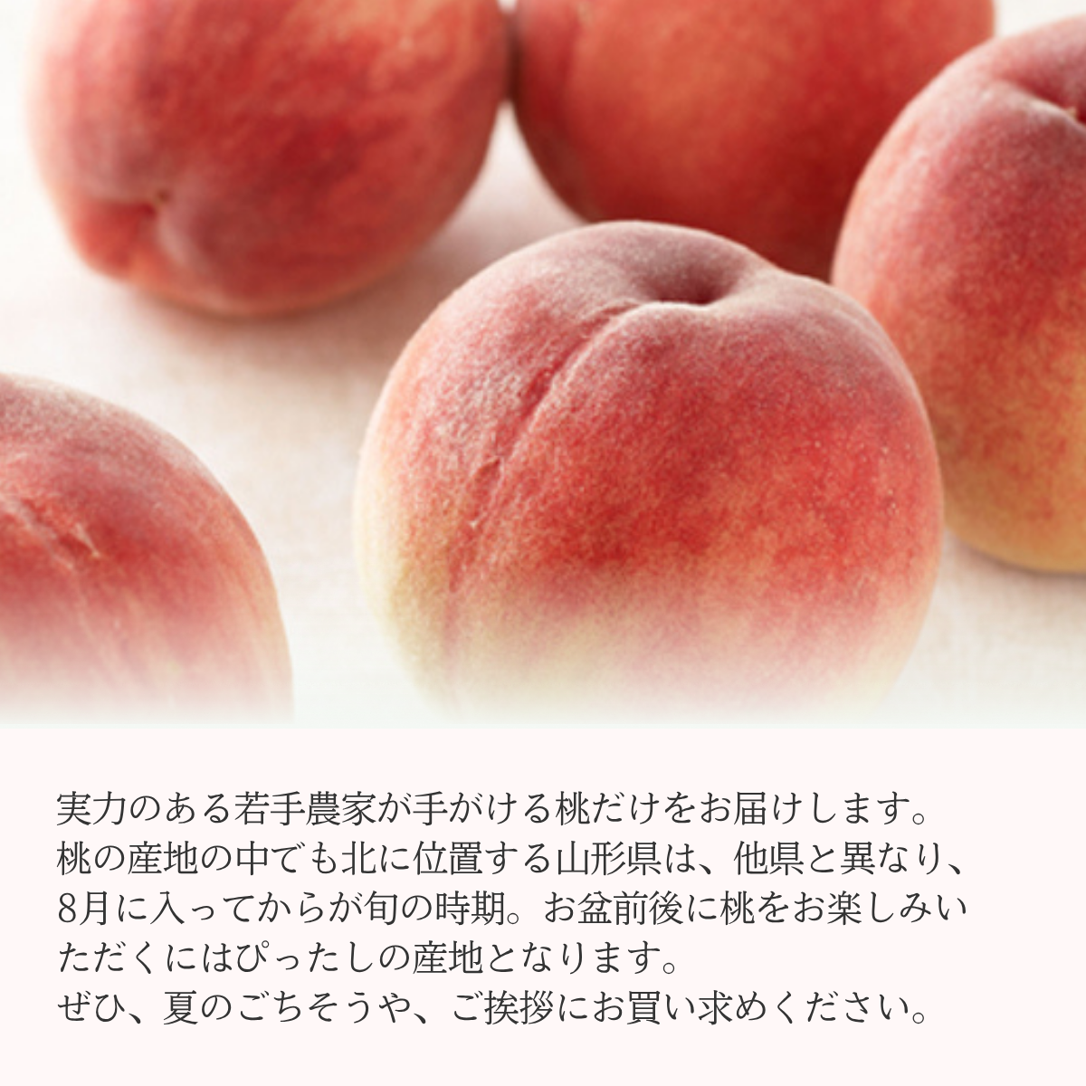 若手農家の旬彩セレクション】山形の旬の桃（白桃） | 【JA公式】山形