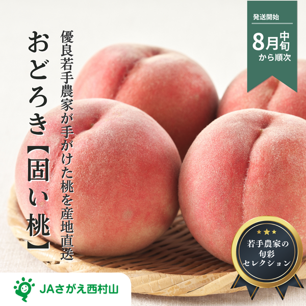 【若手農家の旬彩セレクション】山形の旬の桃（白桃/固めの桃）