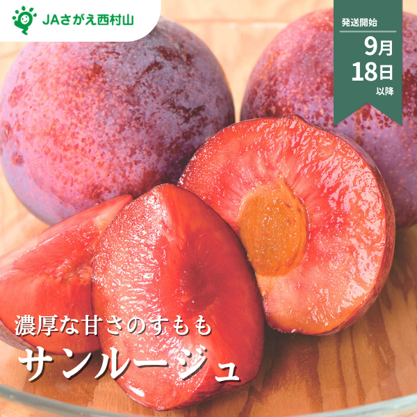 サンルージュ (すもも)の商品画像 1