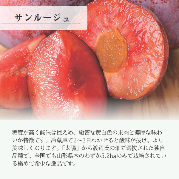 サンルージュ (すもも)の商品画像 2