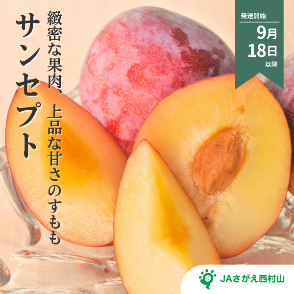 サンセプト (すもも) | 【JA公式】山形名産品を産地直送｜JAさがえ西村