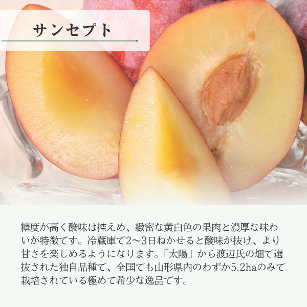 サンセプト (すもも)の商品画像 2