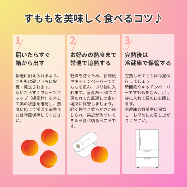 晩生サンセプト（すもも）の商品画像 5