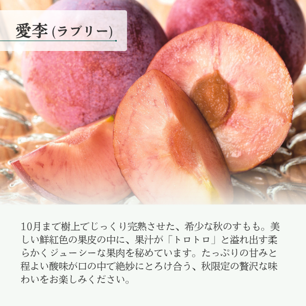 愛李 ラブリー（すもも）の商品画像 2