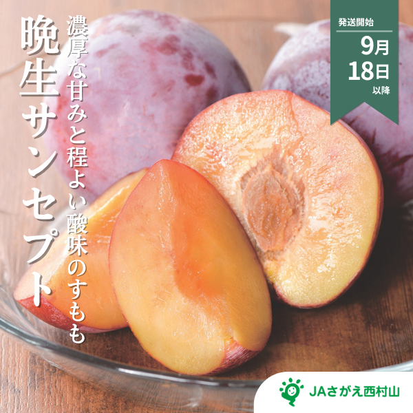 晩生サンセプト（すもも）
