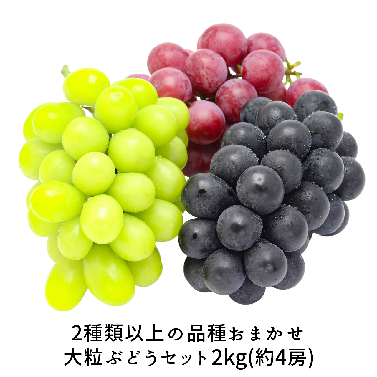 大粒ぶどうセット_01.jpg