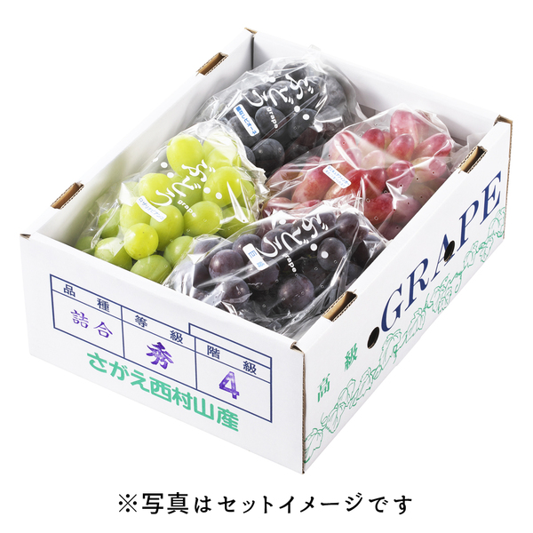 大粒ぶどうセット | 【JA公式】山形名産品を産地直送｜JAさがえ西村山